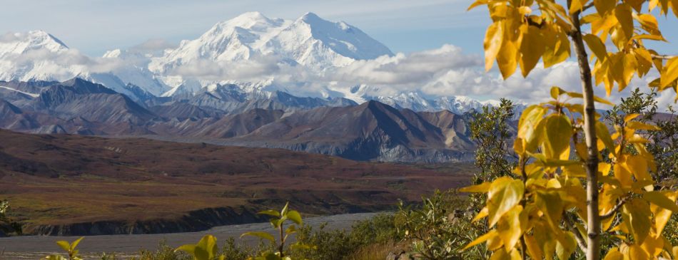 Image for article Denali national park - 20110826-115424-IMG_7967r